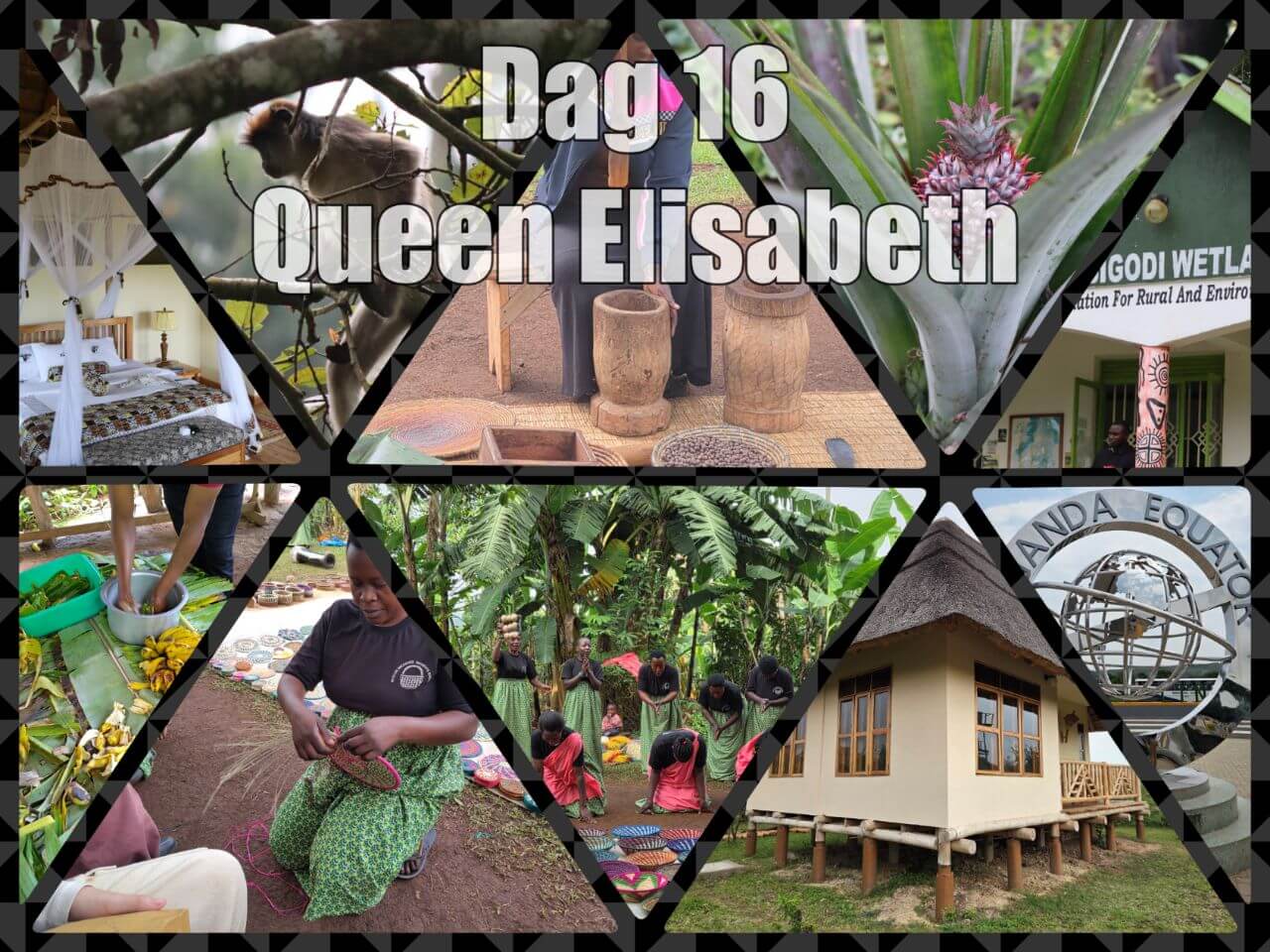 Image for Queen Elisabeth